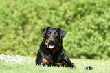 BEAUCERON 917